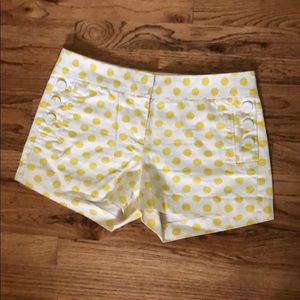 J Crew polka dot shorts City Fit 6